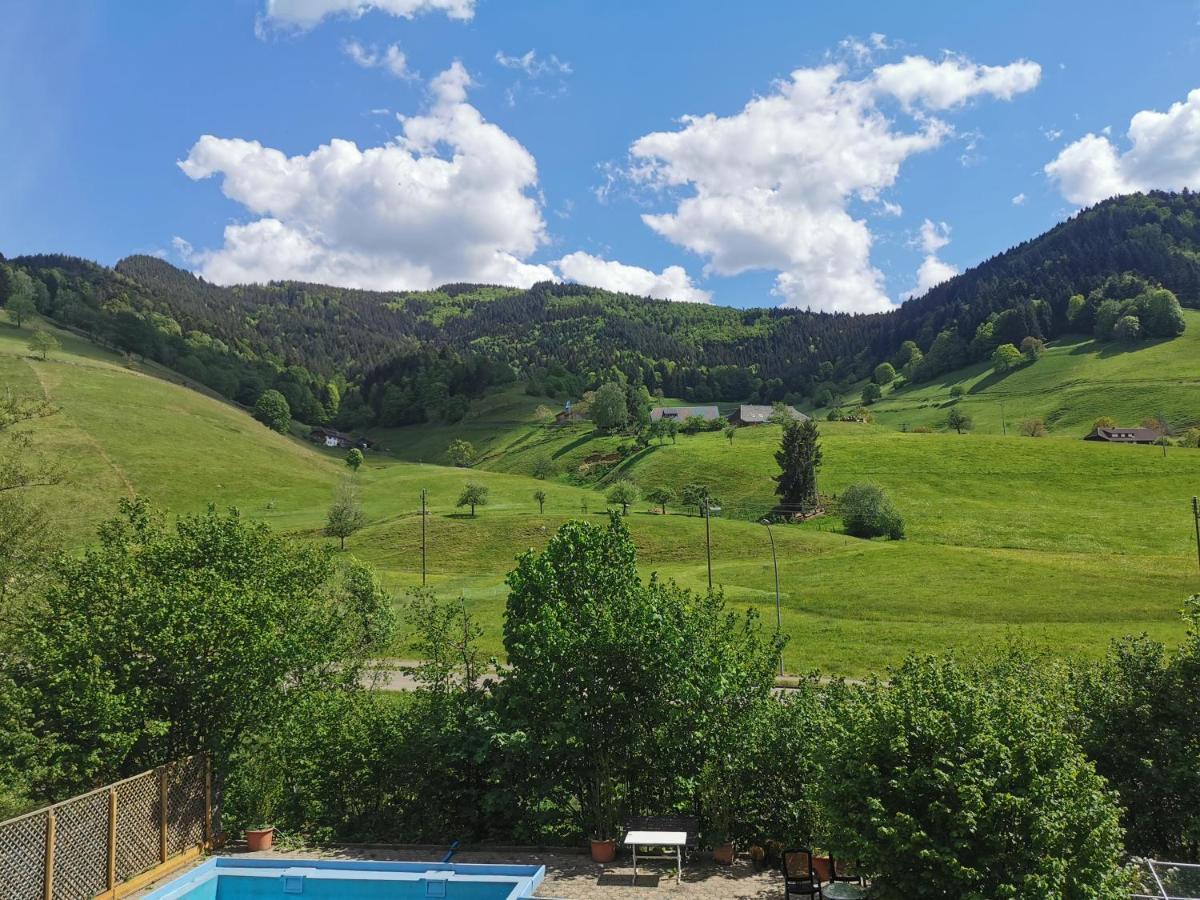 Ferienwohnung Vogelsang Im Schwarzwald Münstertal Extérieur photo