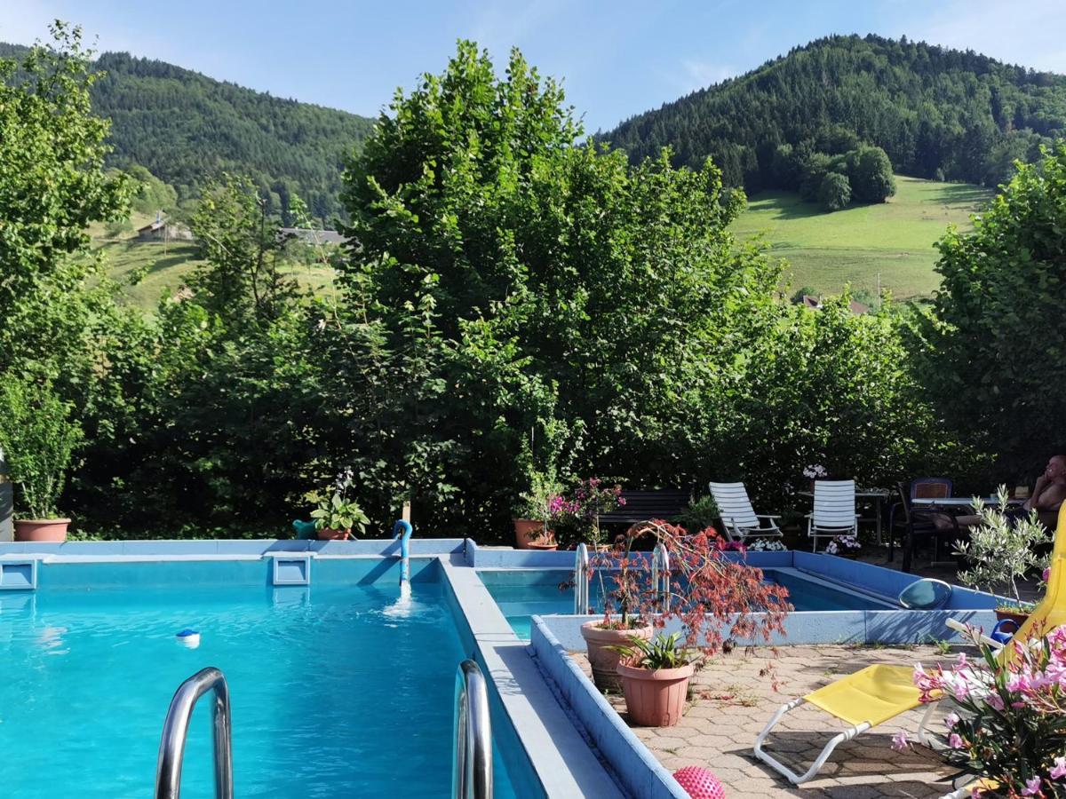 Ferienwohnung Vogelsang Im Schwarzwald Münstertal Extérieur photo