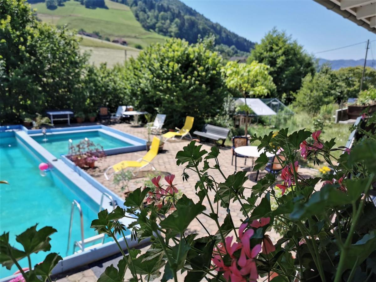 Ferienwohnung Vogelsang Im Schwarzwald Münstertal Extérieur photo