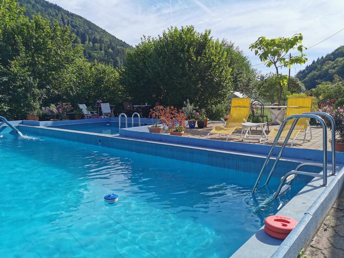 Ferienwohnung Vogelsang Im Schwarzwald Münstertal Extérieur photo