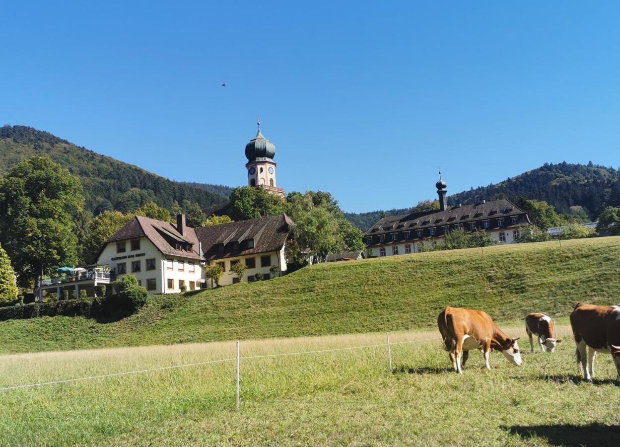 Ferienwohnung Vogelsang Im Schwarzwald Münstertal Extérieur photo
