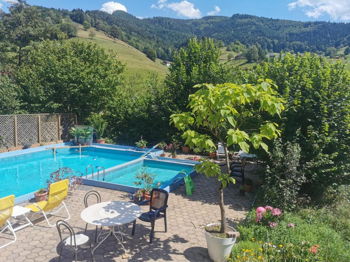 Ferienwohnung Vogelsang Im Schwarzwald Münstertal Extérieur photo