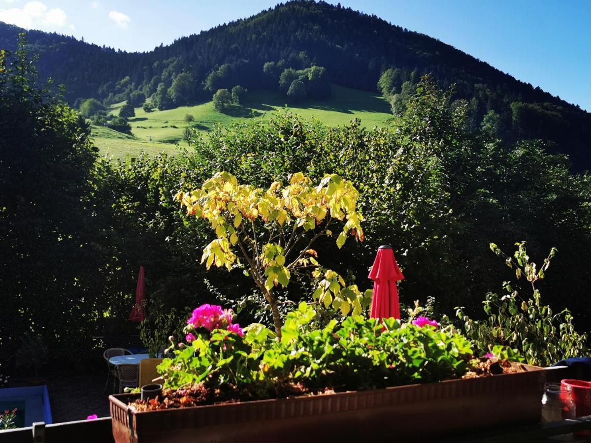 Ferienwohnung Vogelsang Im Schwarzwald Münstertal Extérieur photo