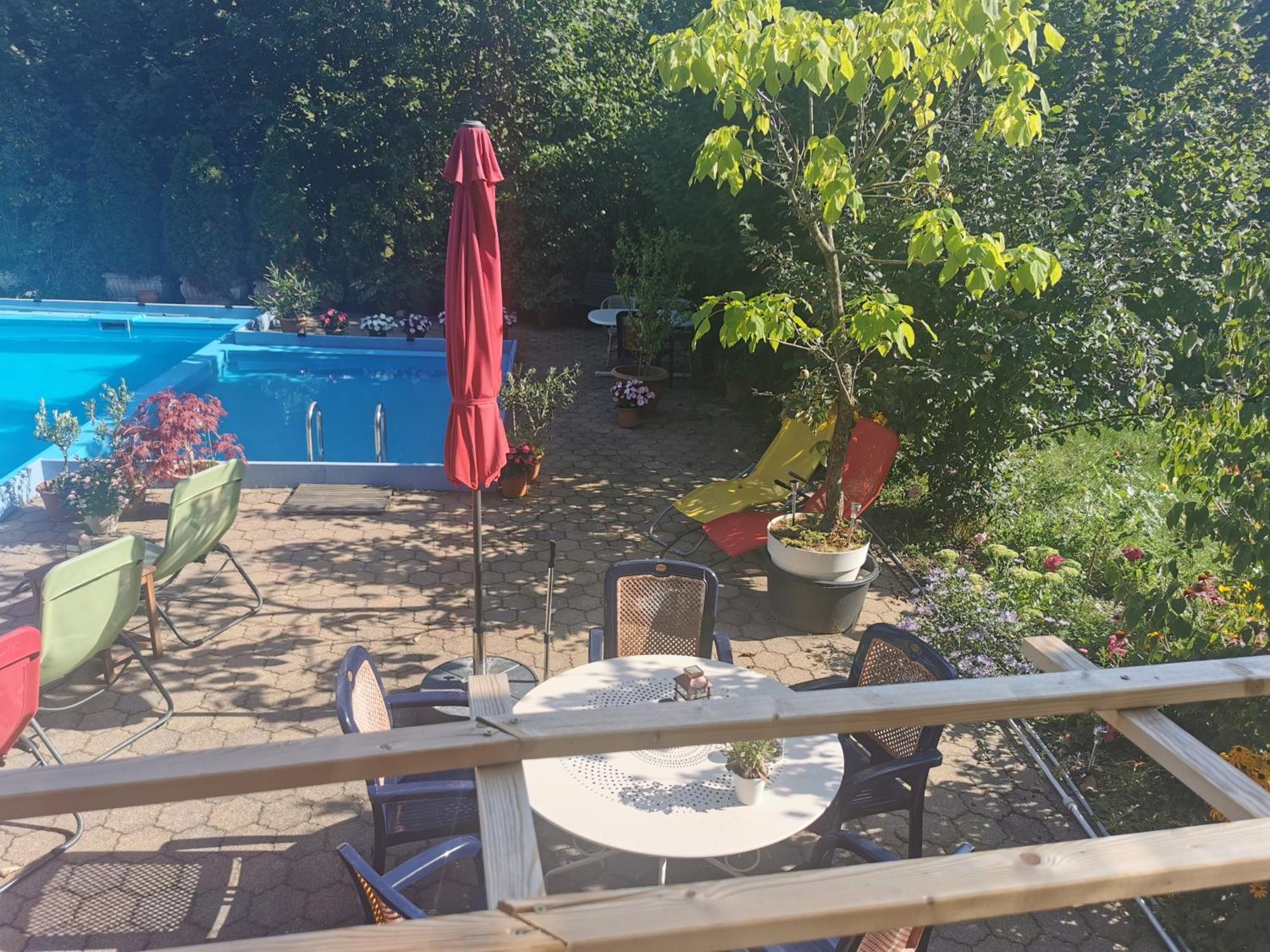 Ferienwohnung Vogelsang Im Schwarzwald Münstertal Extérieur photo