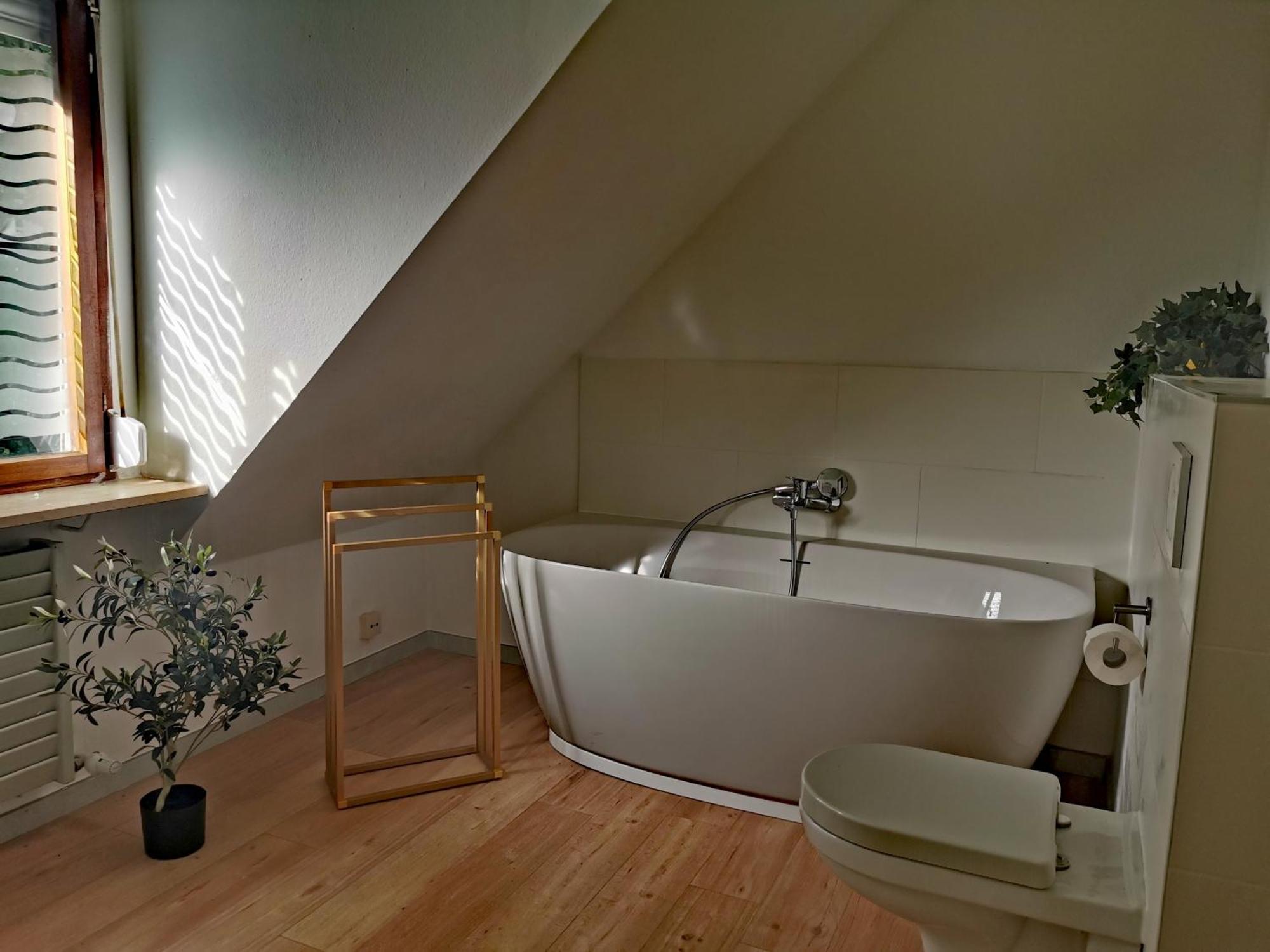 Ferienwohnung Vogelsang Im Schwarzwald Münstertal Extérieur photo