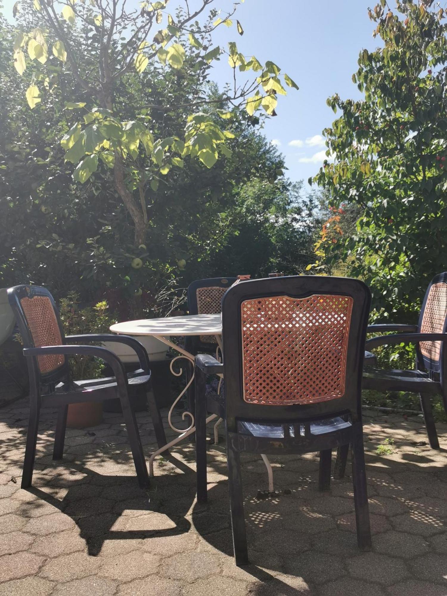 Ferienwohnung Vogelsang Im Schwarzwald Münstertal Extérieur photo