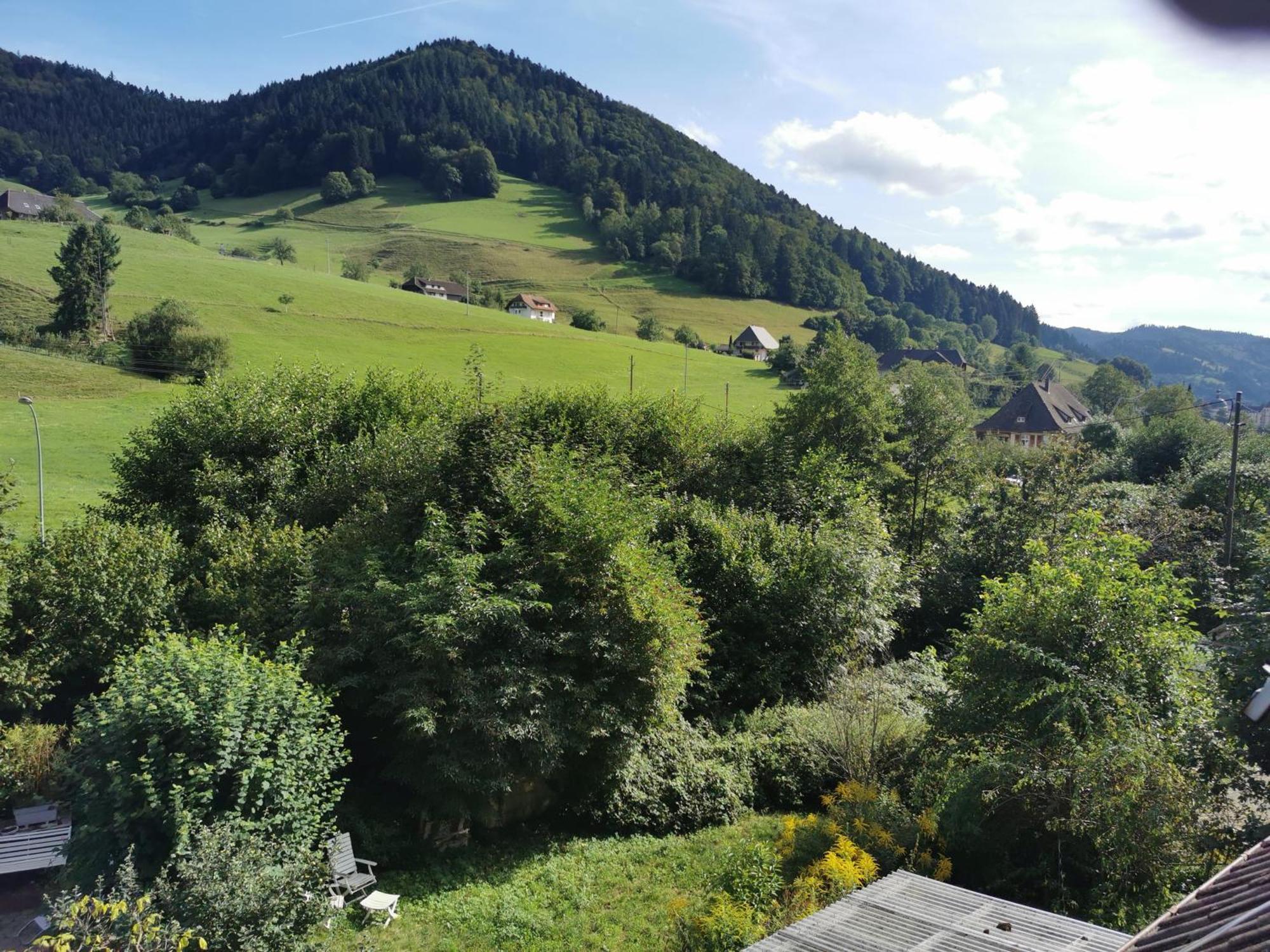 Ferienwohnung Vogelsang Im Schwarzwald Münstertal Extérieur photo